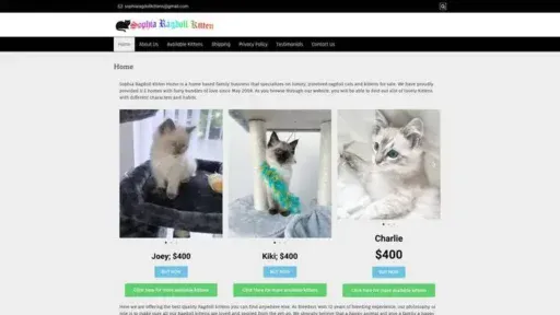 Screenshot of