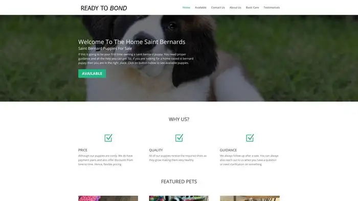 Screenshot of