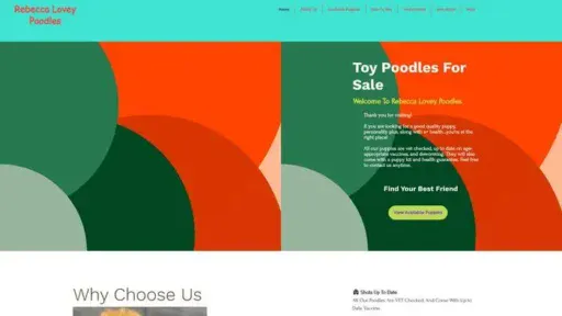Screenshot of