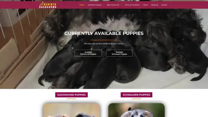 Screenshot of