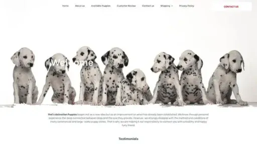 Screenshot of