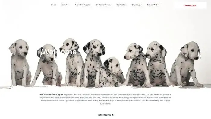 Screenshot of