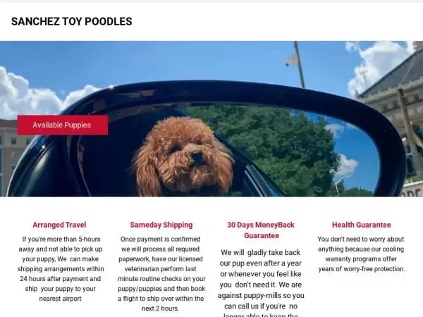 Screenshot of