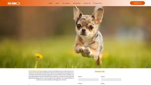 Screenshot of