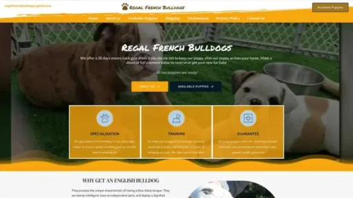 Screenshot of