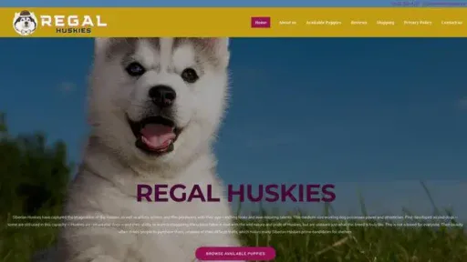 Screenshot of
