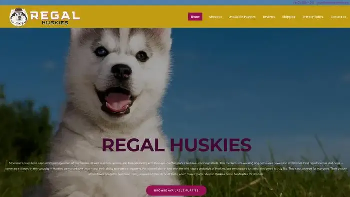 Screenshot of