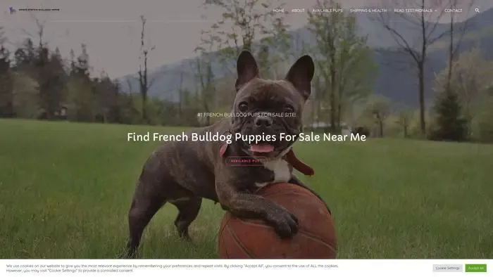 Screenshot of