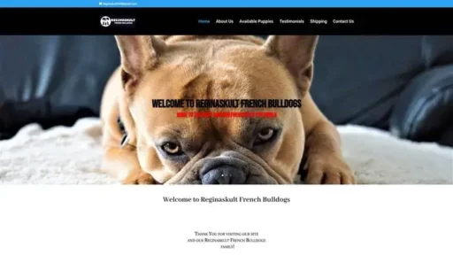 Screenshot of