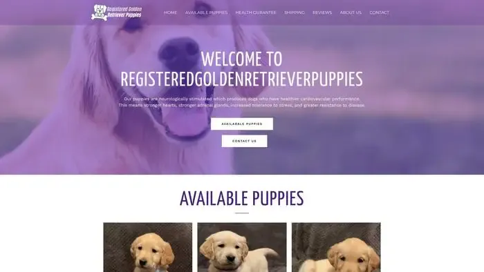 Screenshot of