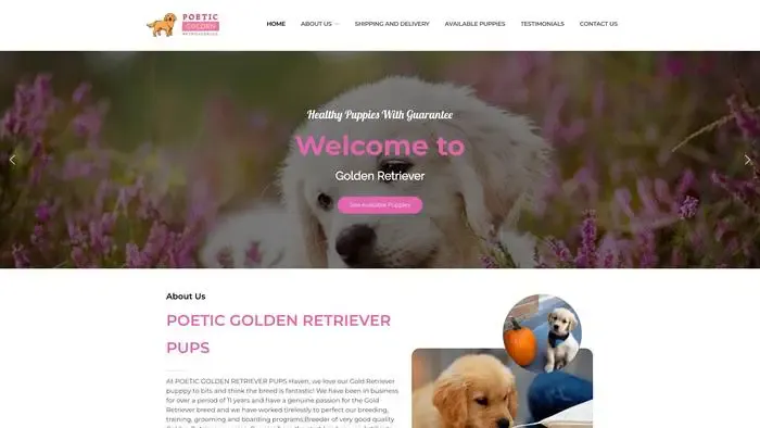 Screenshot of