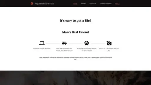 Screenshot of