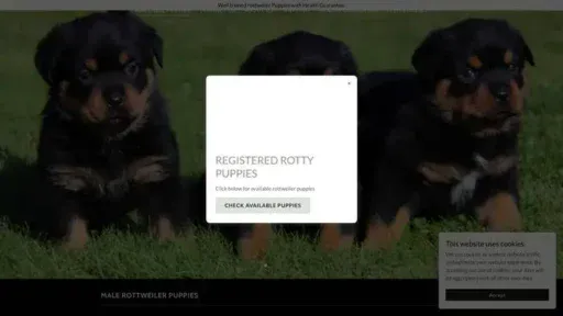 Screenshot of