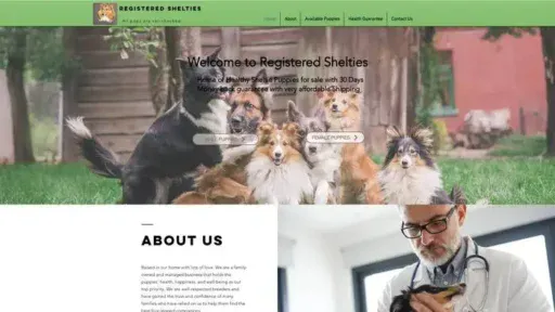 Screenshot of