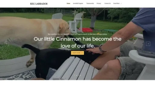 Screenshot of