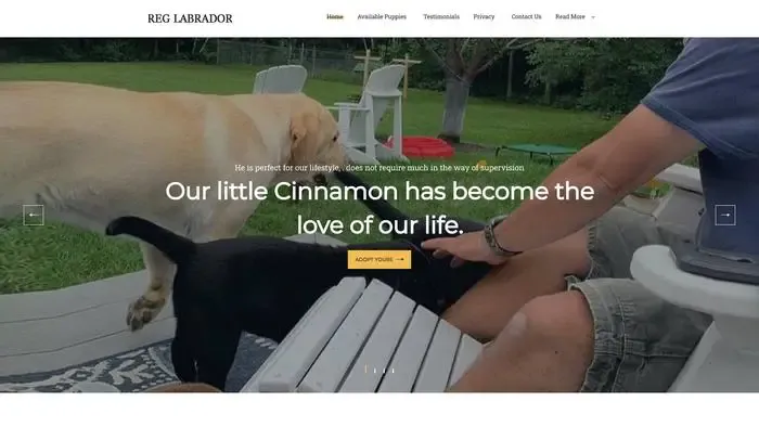 Screenshot of