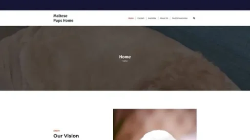 Screenshot of
