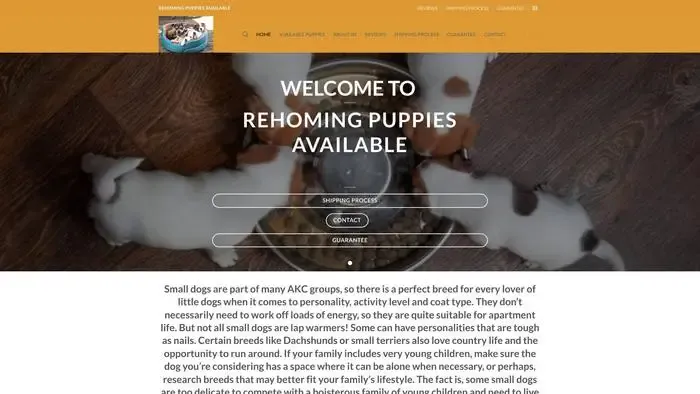 Screenshot of