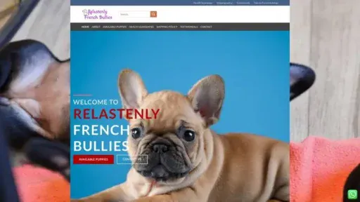 Screenshot of