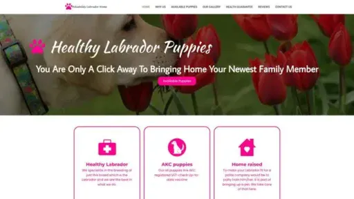 Screenshot of