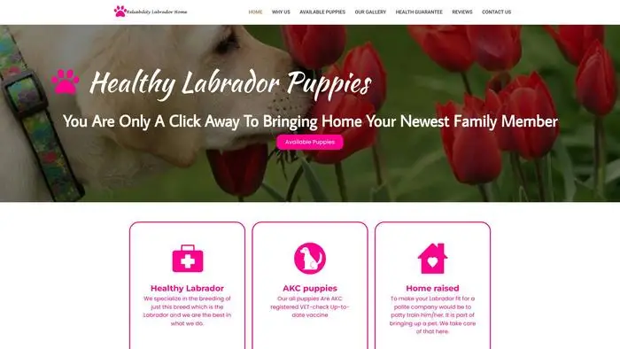 Screenshot of