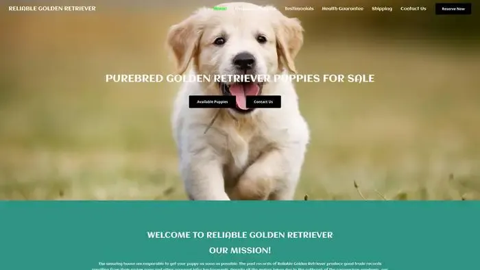 Screenshot of