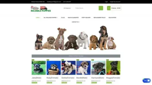 Screenshot of