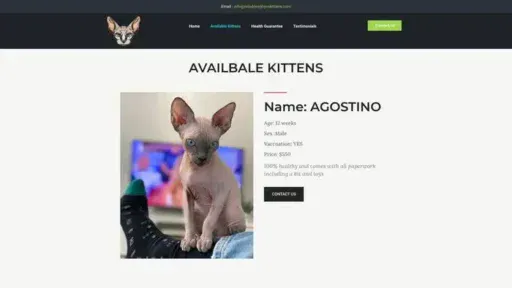 Screenshot of