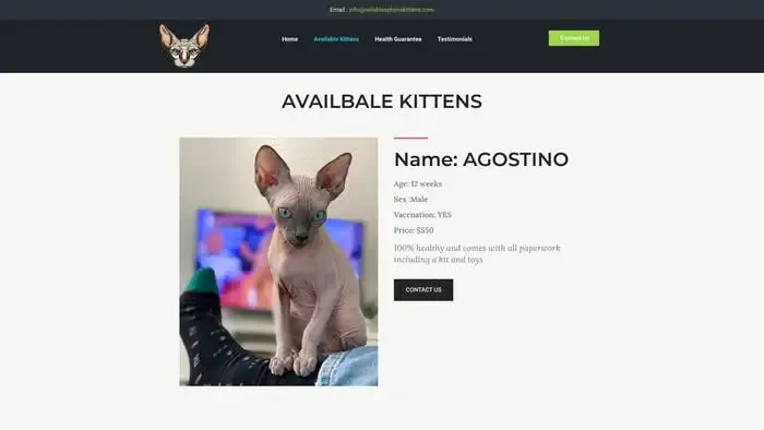 Screenshot of