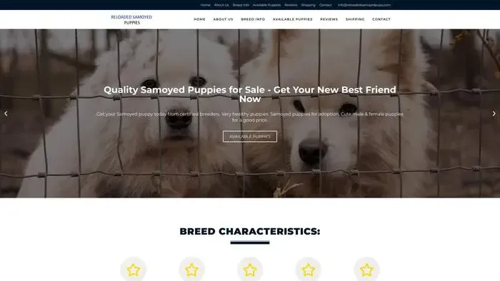 Screenshot of