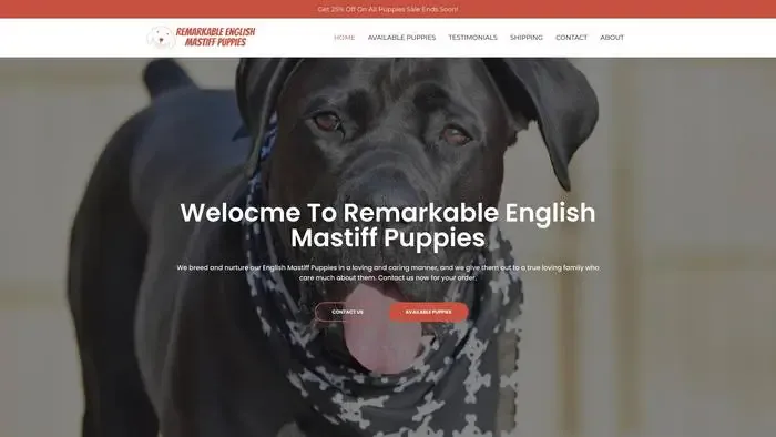 Screenshot of