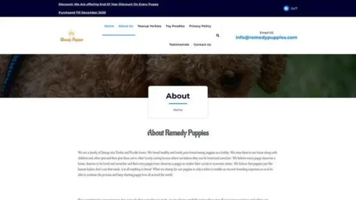 Screenshot of