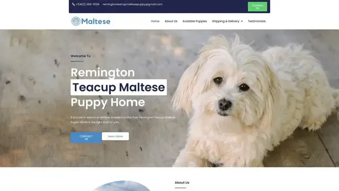Screenshot of