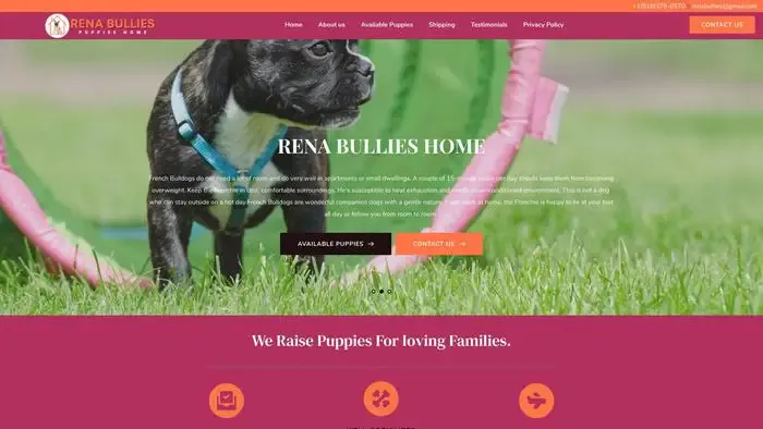 Screenshot of