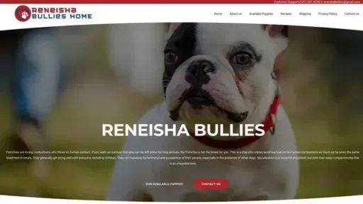 Screenshot of