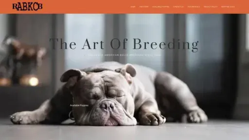 Screenshot of