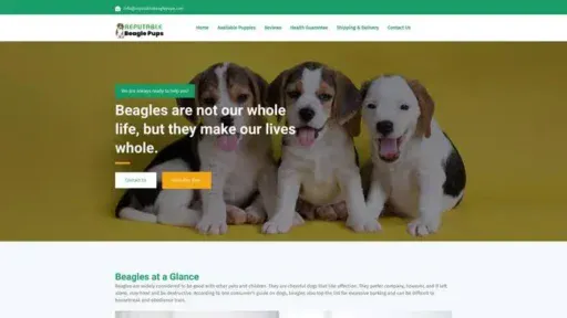 Screenshot of