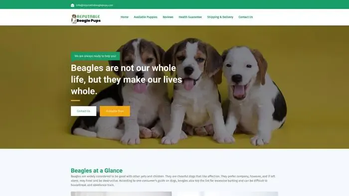 Screenshot of