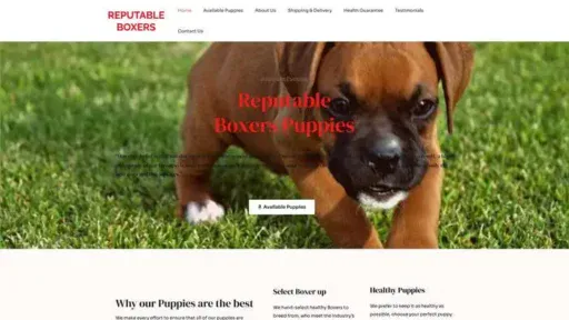 Screenshot of