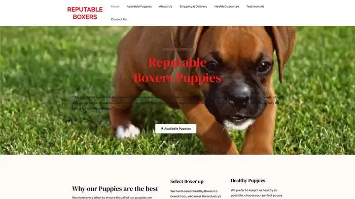 Screenshot of