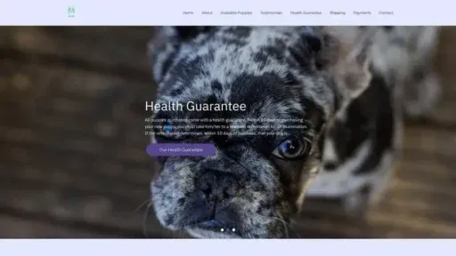 Screenshot of