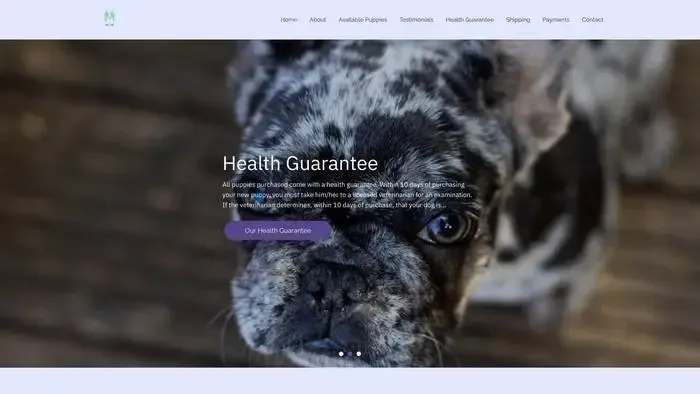 Screenshot of