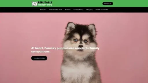 Screenshot of