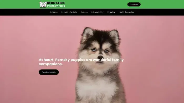 Screenshot of
