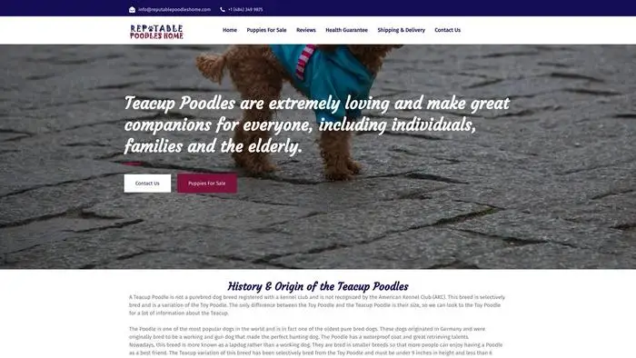 Screenshot of
