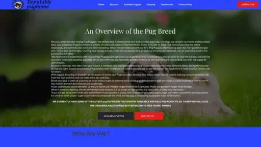Screenshot of