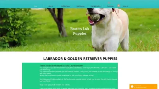 Screenshot of