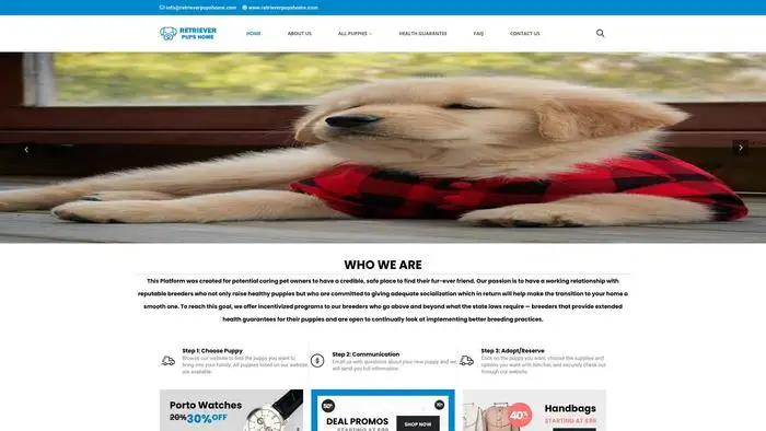 Screenshot of