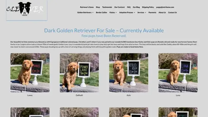 Screenshot of