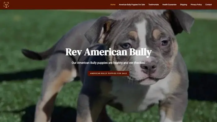Screenshot of